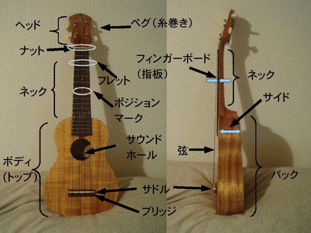 ウクレレの各部名称 ウクレレの各部名称